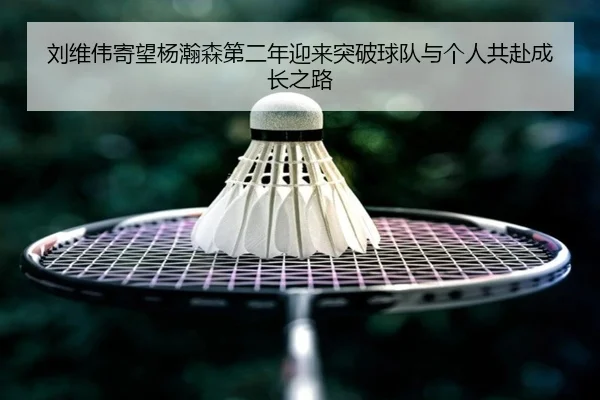 刘维伟寄望杨瀚森第二年迎来突破球队与个人共赴成长之路